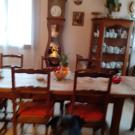 D'hôte Dans Maison Pleine De Vie Séjour chez l'habitant Paris
